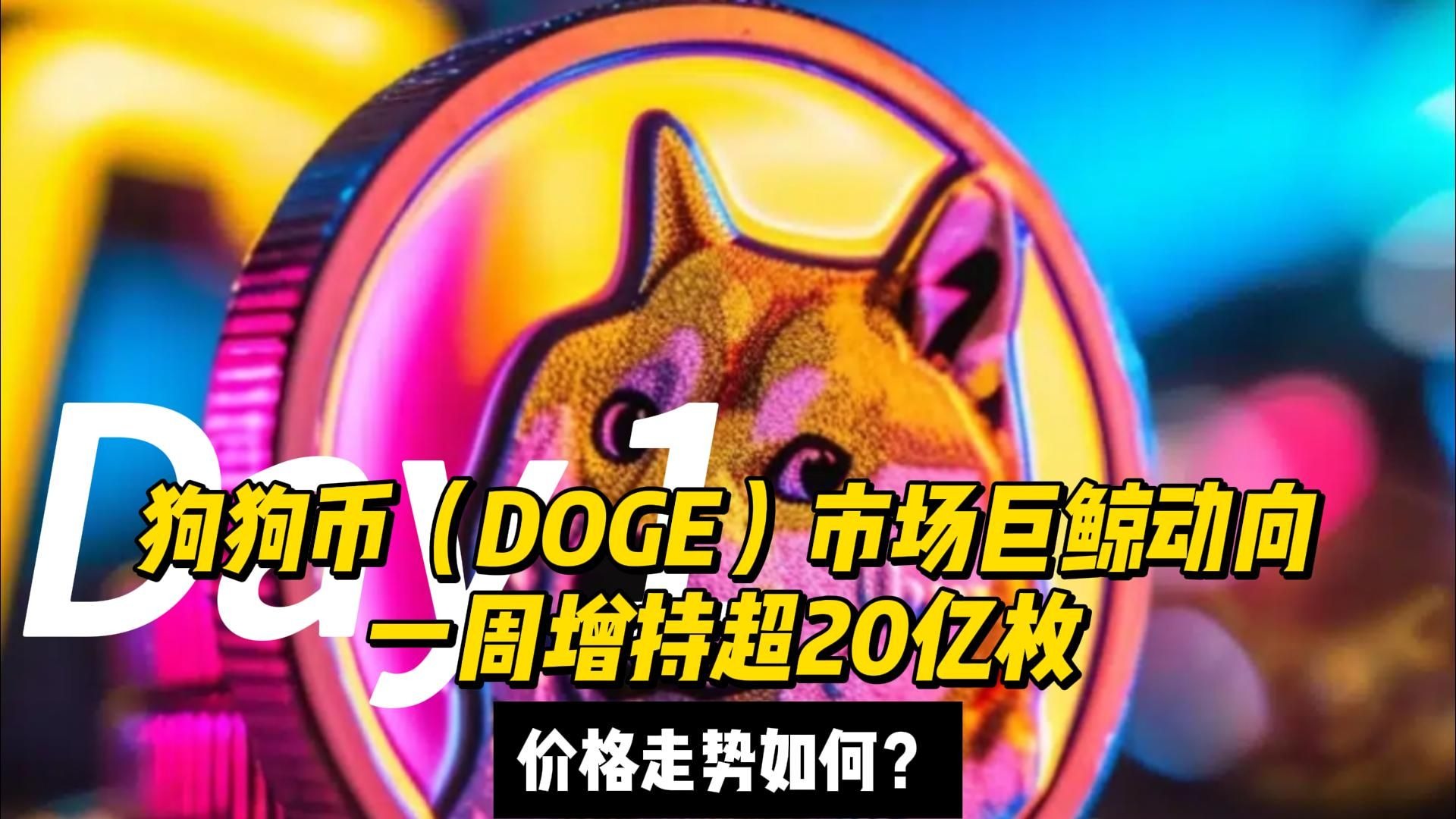 开云-狗狗币官宣与SEC携手，开启元宇宙新纪元！的简单介绍