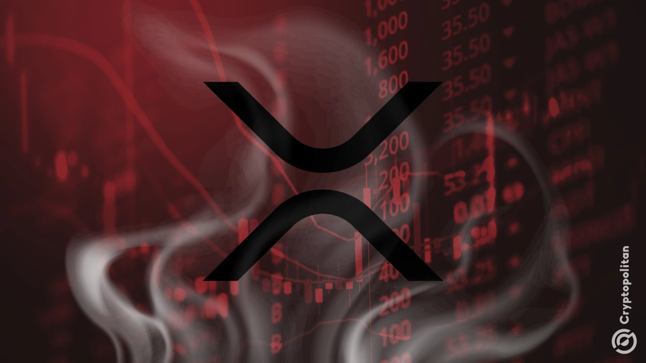 XRP上扬势惊人，一夜飙升31.5%，加密市场沸腾