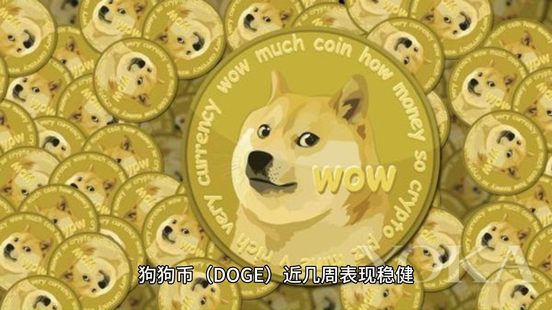 狗狗币上扬势惊人，一夜飙升65%，加密市场沸腾