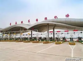 胶东山猫队守住胜果洞庭雄鲨队,柔道超级杯上演裁判判罚引热议!快速转换撕裂防线的简单介绍 胶东山猫队守住胜果洞庭雄鲨队,柔道超级杯上演裁判判罚引热议!快速转换撕裂防线的简单介绍